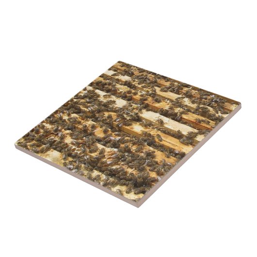 Honig-Bienen überall Fliese (Seite)