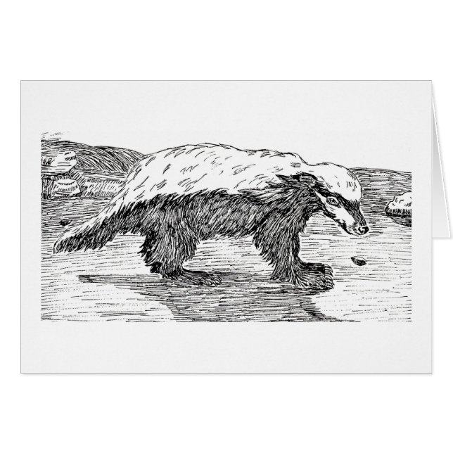 Honig-Dachs oder Ratel (Vorderseite (Horizontal))