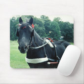 Honig - ein ganz besonderer Pony Mousepad (Mit Mouse)
