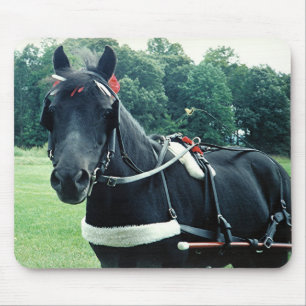 Honig - ein ganz besonderer Pony Mousepad