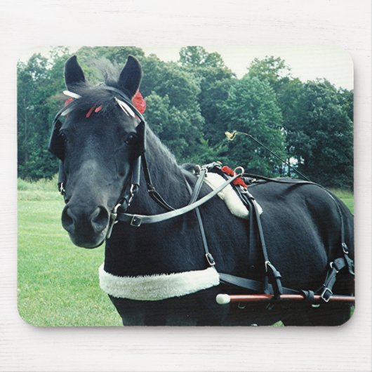 Honig - ein ganz besonderer Pony Mousepad (Vorne)