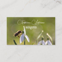 Honig Honigbiene Honig Honig Biene Weiße Blume