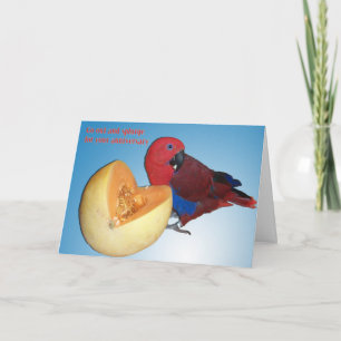 Honig listet auf karte