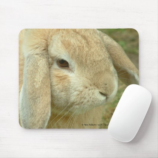 Honig, Lop-Ohrkaninchen Mousepad (Mit Mouse)