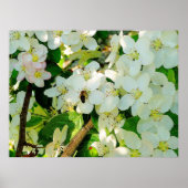 Honig machen poster (Vorne)