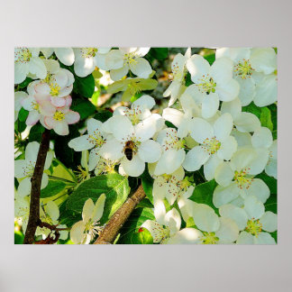 Honig machen poster