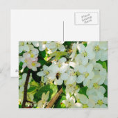 Honig machen postkarte (Vorne/Hinten)