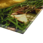 Honig-Pilz-Pilz-hackendes Glasbrett Schneidebrett (Ecke)