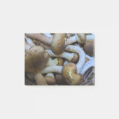 Honig-Pilze, Apiata, Armillaria, opyenok Post-it Klebezettel (Vorderseite)