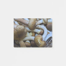 Honig-Pilze, Apiata, Armillaria, opyenok