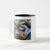 Honig-Pilze, Apiata, Armillaria, opyenok Zweifarbige Tasse (Vorderseite Links)