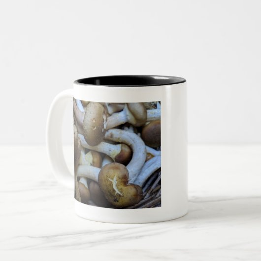 Honig-Pilze, Apiata, Armillaria, opyenok Zweifarbige Tasse (Vorderseite Links)