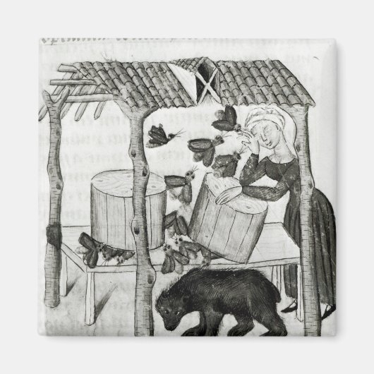 Honig sammeln magnet (Vorne)