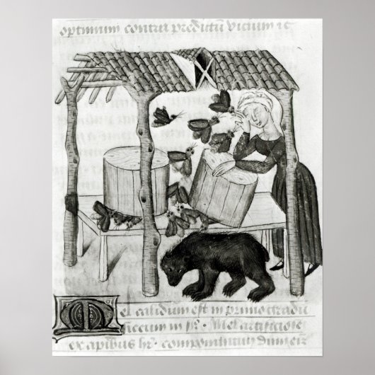 Honig sammeln poster (Vorne)