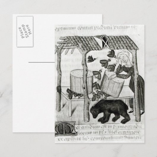 Honig sammeln postkarte (Vorne/Hinten)