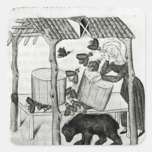 Honig sammeln quadratischer aufkleber (Vorderseite)