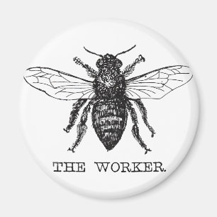 Honig Schwarze Hummel Arbeiterbiene Magnet