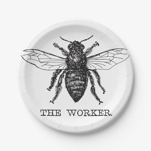 Honig Schwarze Hummel Arbeiterbiene Pappteller (Vorderseite)