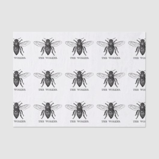 Honig Schwarze Hummel Arbeiterbiene Seidenpapier (Vorderseite)
