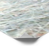 Honigbär (Sonnenbär) Foto Poster (Ecke)