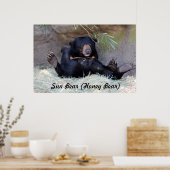 Honigbär (Sonnenbär) Foto Poster (Küche)