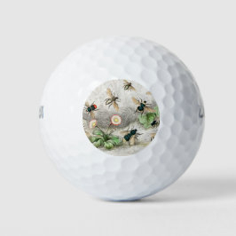 Honigbiene, Arbeiter, Männchen, Königin, Humble Golfball