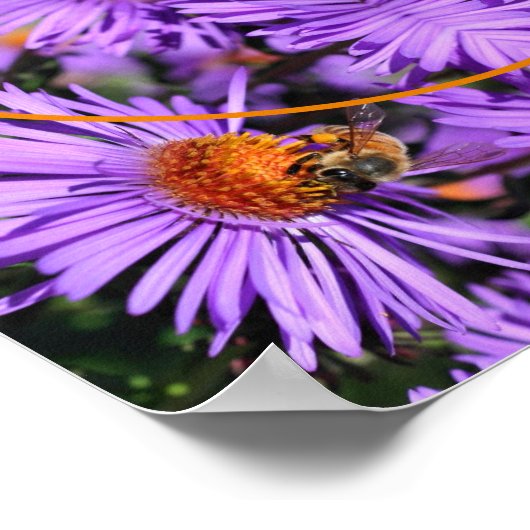 Honigbiene auf Aster Blume Rahmen hinzufügen Ihr F Poster (Ecke)