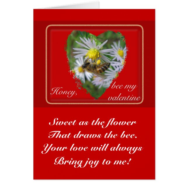 Honigbiene auf Asters Valentine (Vorne)
