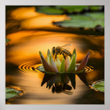 Honigbiene auf Blume