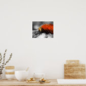 Honigbiene auf Blume - teilweise Farbe Poster (Küche)