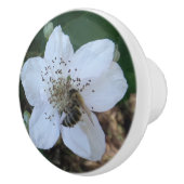 Honigbiene auf Brombeerblüte Keramikknauf (Rechts)