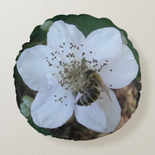 Honigbiene auf Brombeerblüte Rundes Kissen