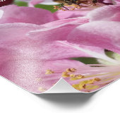 Honigbiene auf Crabapple Blossom mit Zitat Fotodruck (Ecke)