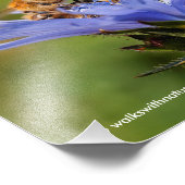 Honigbiene auf dem blühenden Radicchio Fotodruck (Ecke)