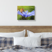 Honigbiene auf dem blühenden Radicchio Leinwanddruck (Insitu (Schlafzimmer))