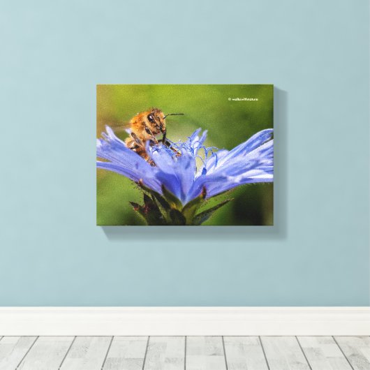 Honigbiene auf dem blühenden Radicchio Leinwanddruck (Insitu (Holzboden))