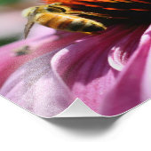 Honigbiene auf der Blume Nah bis 8x10 Fotodruck (Ecke)
