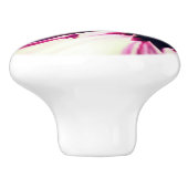 Honigbiene auf der Blume Nah Keramikknauf (Seitenansicht)