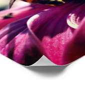 Honigbiene auf der Blume Nah Poster (Ecke)