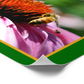 Honigbiene auf Echinacea Daisy Blume Abstrakt Poster (Ecke)