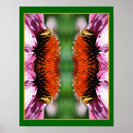 Honigbiene auf Echinacea Daisy Blume Abstrakt Poster (Vorne)