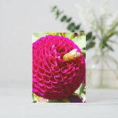 Honigbiene auf einer Blume Postkarte (Stehend Vorderseite)