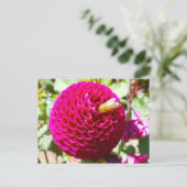 Honigbiene auf einer Blume Postkarte (Stehend Vorderseite)