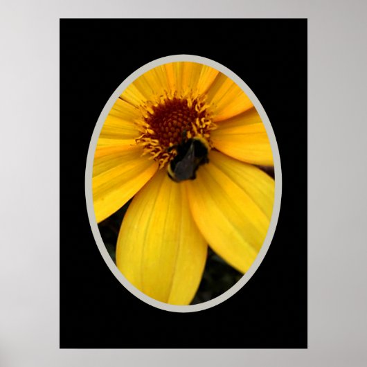 Honigbiene auf einer gelben Blüte Poster (Vorne)
