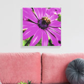 Honigbiene auf einer Lila afrikanischen Daisy Art Leinwanddruck (Insitu (Wohnzimmer))