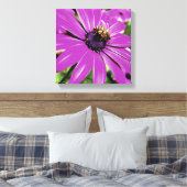 Honigbiene auf einer Lila afrikanischen Daisy Art Leinwanddruck (Insitu (Schlafzimmer))