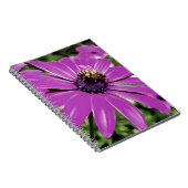 Honigbiene auf einer Lila afrikanischen Daisy Art Notizblock (Rechte Seite)