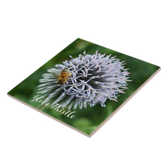 Honigbiene auf Globe Thistle Floral Fliese (Seite)