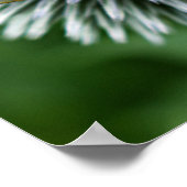 Honigbiene auf Globe Thistle Floral Poster (Ecke)