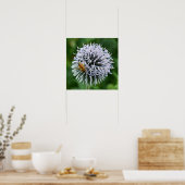 Honigbiene auf Globe Thistle Floral Poster (Küche)
